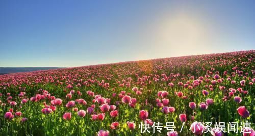 后半生|哪个日子出生的女人,难逃富贵,漂亮又有钱,后半生注定享福