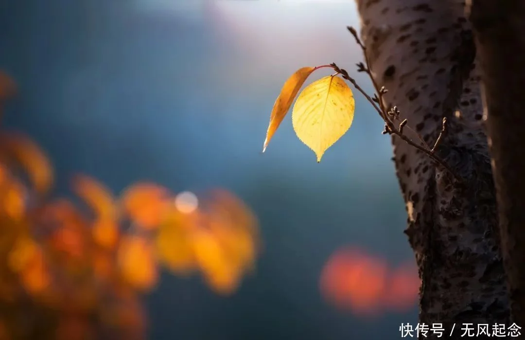 硬核推荐（优美的句子）优美的句子摘抄大全50字左右 第5张