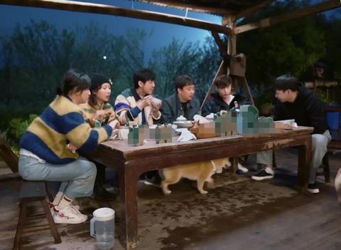 杨紫|《向往5》小算盘落空，杨紫离开节目后，老友记播放次数直线下降