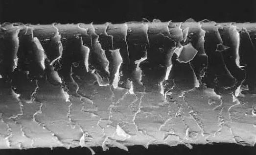 好习惯|洗发水时,养成3种好习惯,5天内不出油,脱发会越来越少!