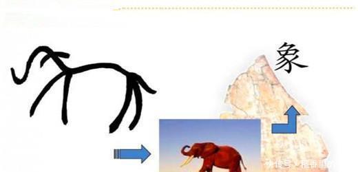 学好|外国纪录片 汉字没有那么难, 学好画画就会写