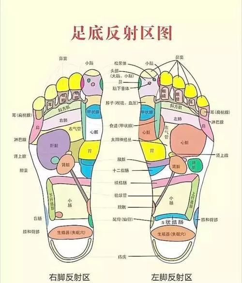  寒湿脚下起，病从脚底除！老中医绝招：一病一方，给五脏吃补药