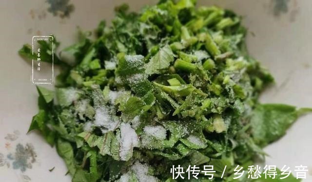 营养|秋天,农村这菜不要钱,碰上别错过,营养非常高,孩子常吃视力好!