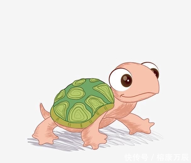 传统文化里|千年王八万年龟,下半句是什么?这两句说的是什么意思?