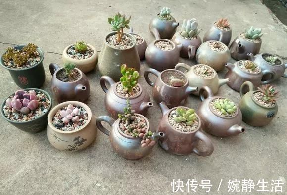 花盆|花盆不用买,变废为宝做一个,比买的还好看,分分钟惊艳朋友圈