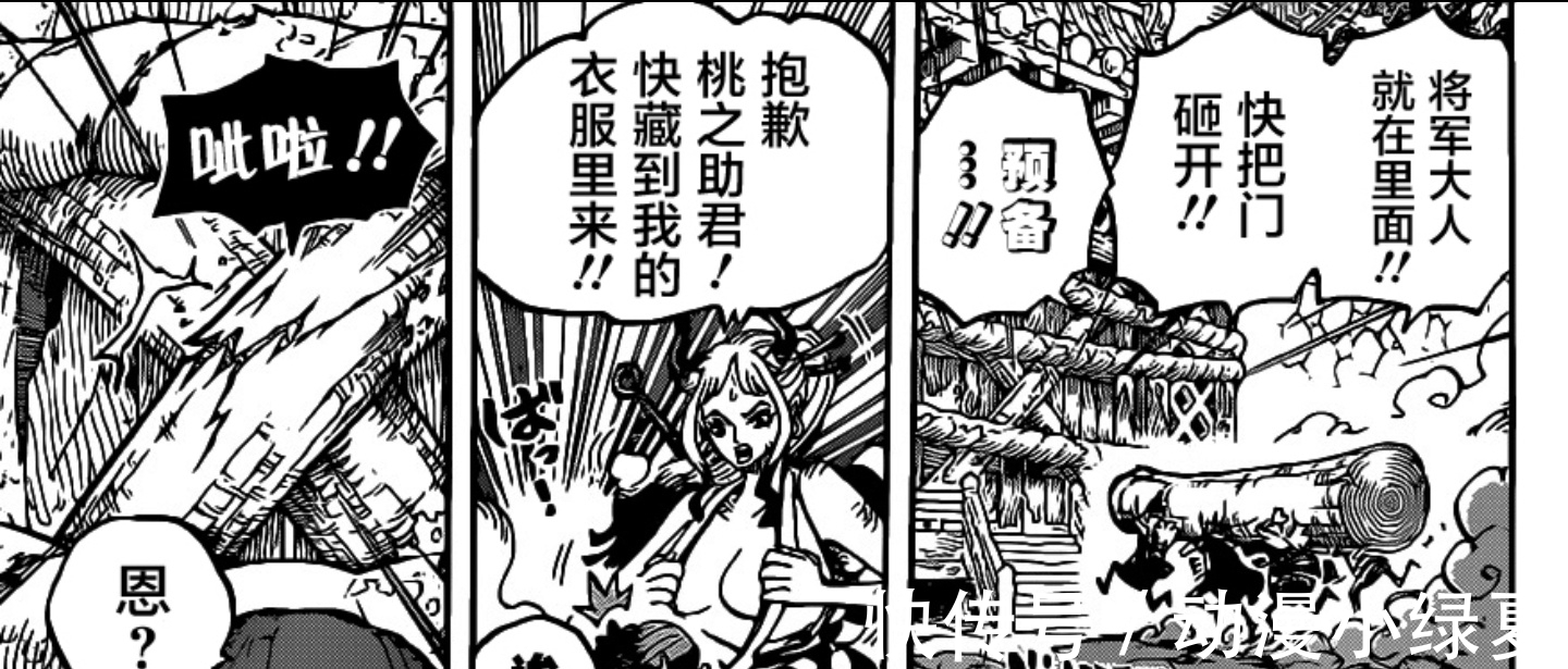 罗宾|海贼王1005话：为什么大和愿意将桃之助藏在自己的衣服里？