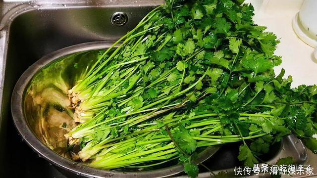 峰子|刚知道，香菜要这样保存，随吃随取，和刚买的一样新鲜，特简单