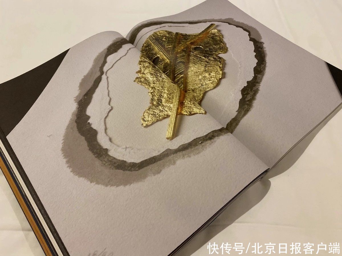  竟然|这本 2020年度中国“最美的书”，竟然集合24位顶级艺术家作品大展？