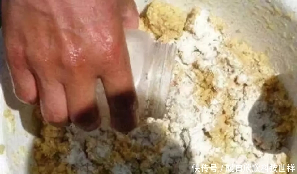 高手|高手用鸡饲料钓鱼,一下午钓20多条!