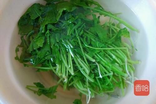 炒鸡蛋|这菜叶子别再扔掉了,比萝卜还营养,用来炒鸡蛋真香
