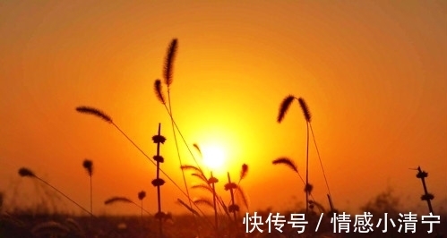 原生家庭|《隱秘的角落》——我,還有機會嗎?