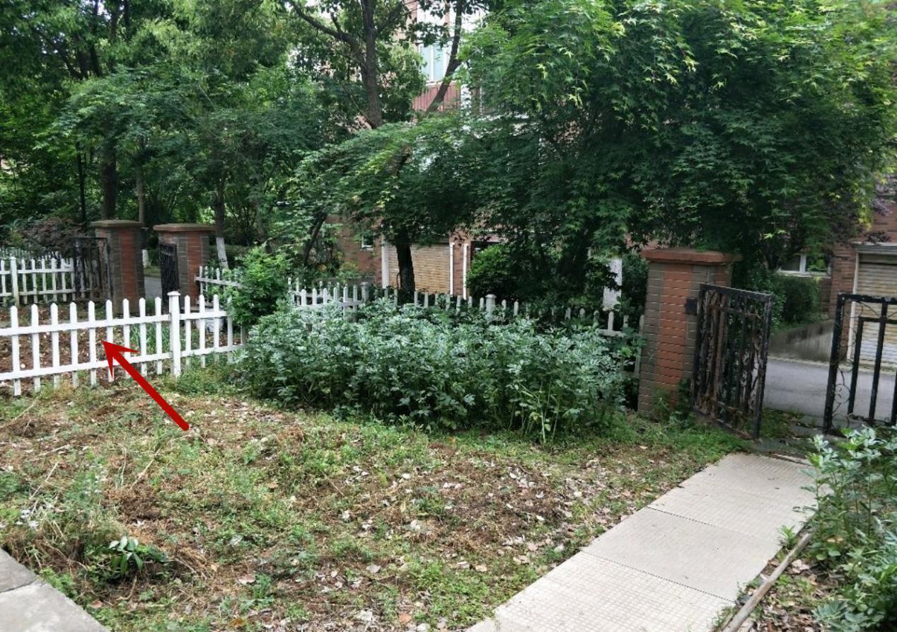 庭院|住的是别墅,门口院子搭圈围墙隔个小花园,邻居不允许:这是联排