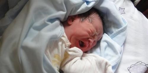 阶段|胎儿在母体是如何长大的?一组图告诉你,不同阶段宝宝的发育过程