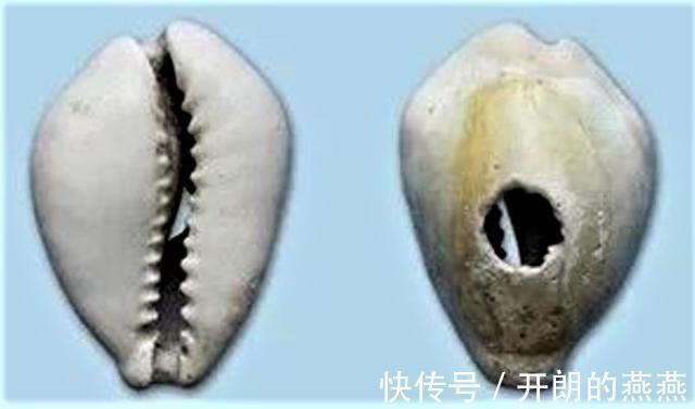 礼节|越原始,越深刻 – 重新理解汉字本义 │ “实”事求是