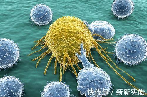 苦瓜|若想癌症不来扰，6物坚持每天吃，清除体内毒素，增强免疫力