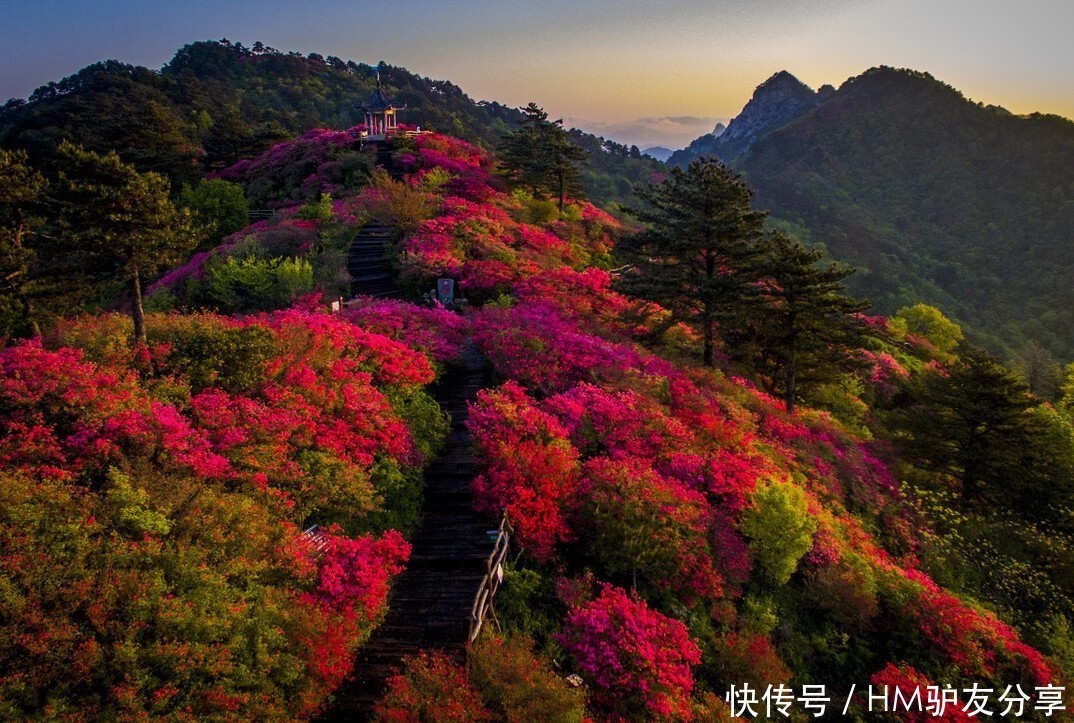 中年|春天最适合小住三五天的12个地方，错过这些美景，又要等一年