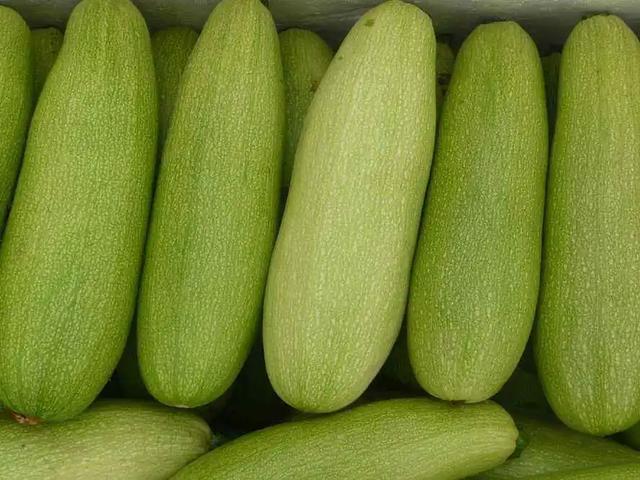 1根西葫芦4个鸡蛋,这种吃法将成为经典,素食也可以很美味