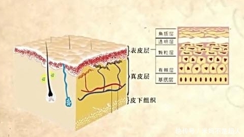 孕期|「孕期护肤」怀孕了就不能护肤了吗？看完这篇会解开很多疑虑