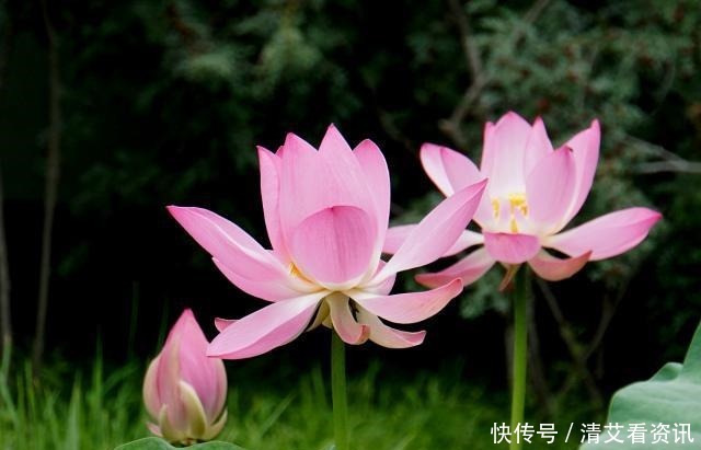 人到低谷,不管多穷,都别喊穷