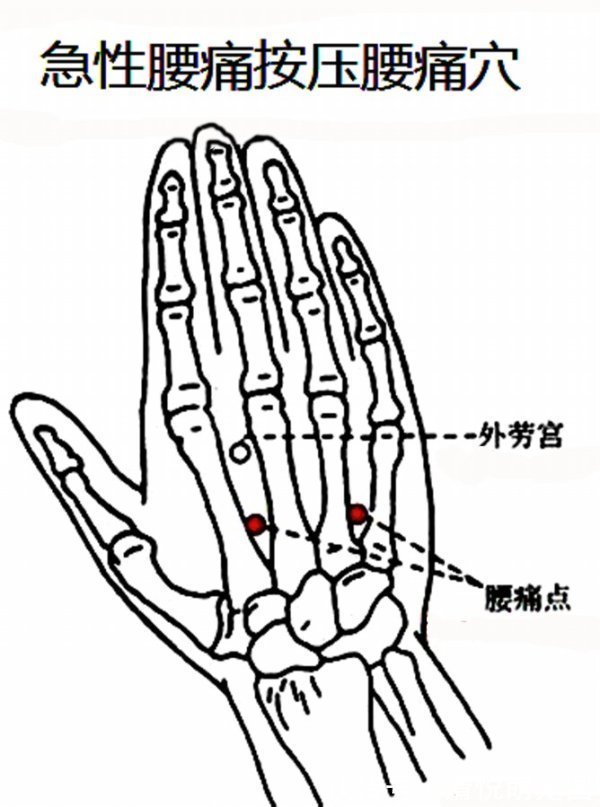 掌骨|按一个地方，颈椎就不疼了！发1次，救人无数，我试过了