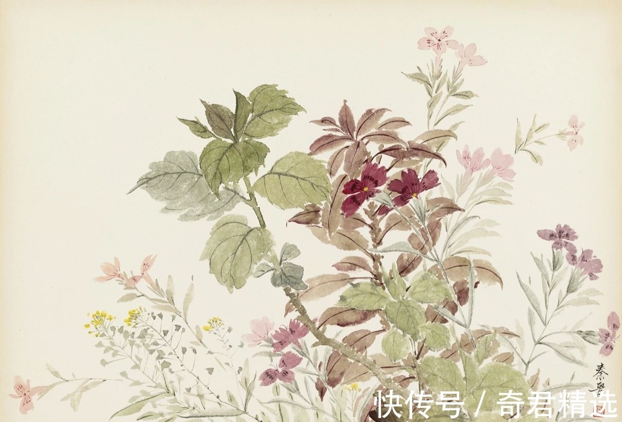 花卉$「津门网」用没骨法绘制花卉,这极其考验画家对笔墨色彩的把控