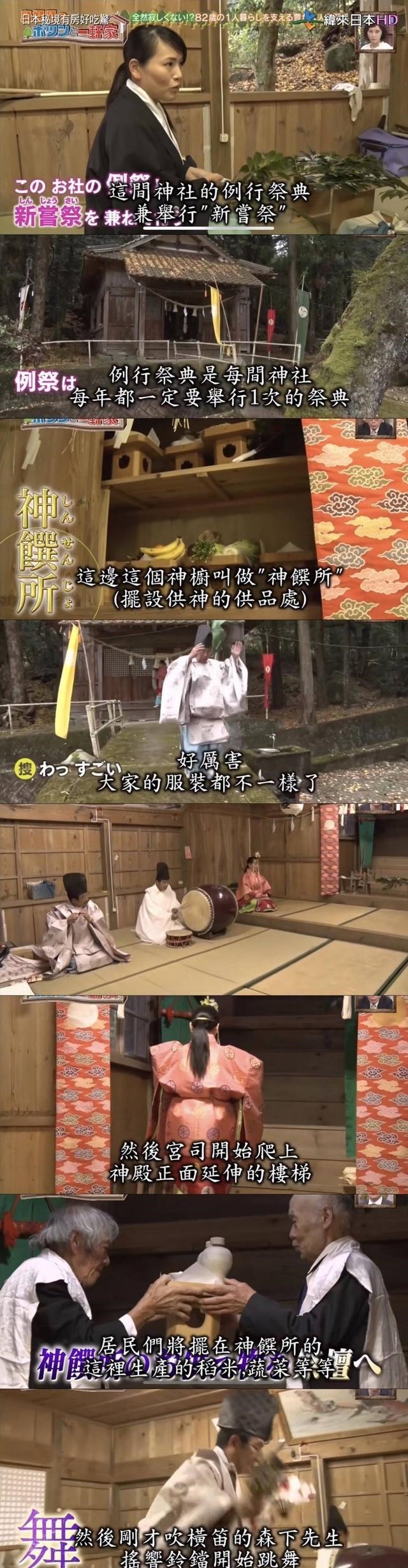 房好吃惊|23年种5700棵树 这个老人把荒山建成了森林公园