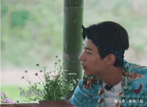 张子枫|三年前戏言成真,看样子“送礼事件”对何炅影响很大
