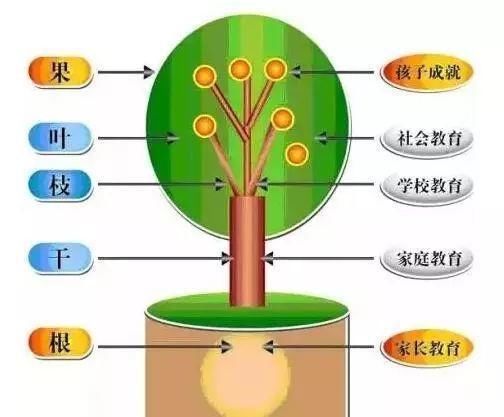 孩子|人民日报：教育改革要从家长教育开始！强烈推荐！