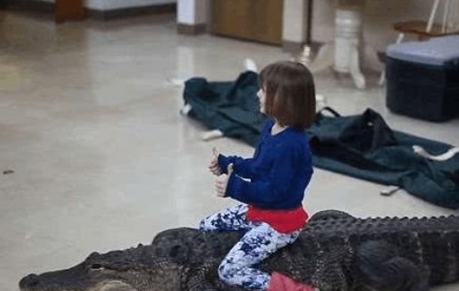 小棉袄|午睡起来发现女儿不见了,来到客厅看的画面,顿时大汗直流