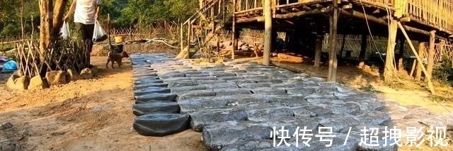 满铺|自己动手捯饬院子,塑料袋里灌水泥,铺满整个地面,比青石板结实