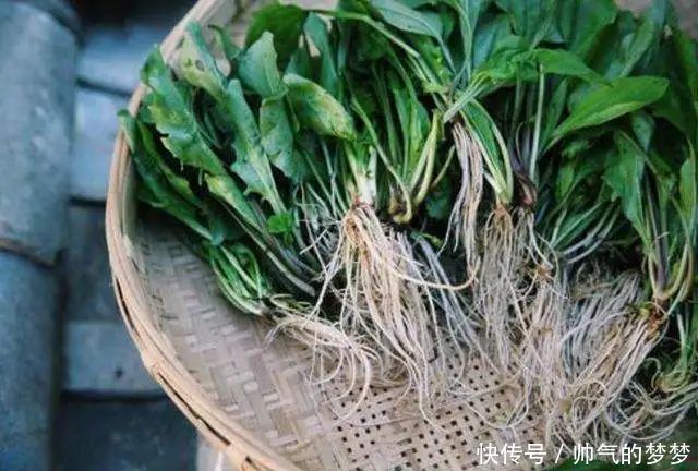 《诗经》该怎么读那些看似啰嗦的重章叠唱,很可能是这样来的