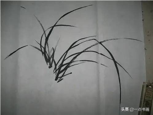 兰花！兰花画法，一学就会