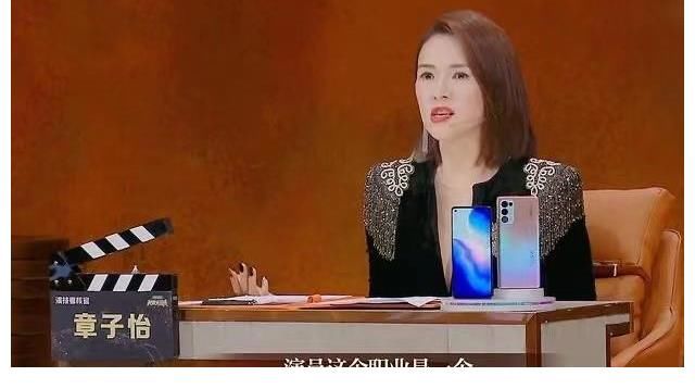 《導(dǎo)演請指教》當(dāng)梁龍新片被停播，我們才開始理解章子怡的這段話