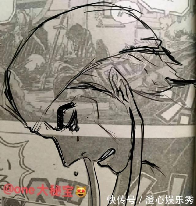 艾尼路|海贼王1004出现神秘人,剪影类似艾尼路!网友:可能是时夫人