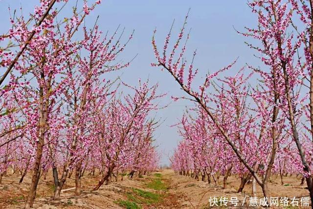 「我的家乡在河北」春水连天、万鸟翔集！河北版的“苍山洱海”，简直太仙儿了！