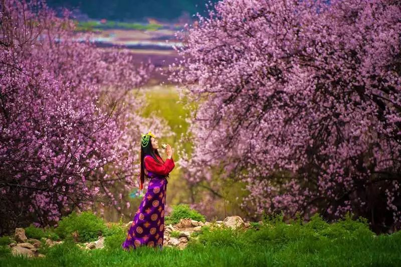 温柔|留白诗选:半世沉浮添白发，繁华不改旧温柔