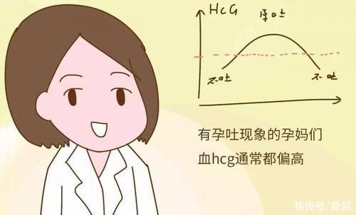 孕吐|为什么有的孕妇孕期孕吐的很严重，但有的孕妈整个孕期都没有任何反应呢?