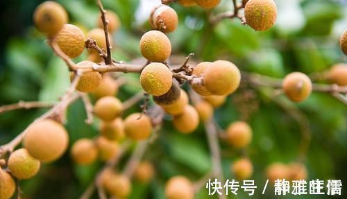 抵抗力|受失眠折磨已久？或許可以試試這4個應對方法，讓你一夜好眠