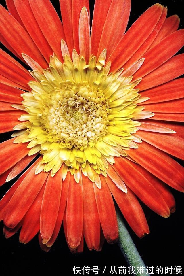 警世名言！醒悟人生的警世名言，睿智透彻，句句中肯实用