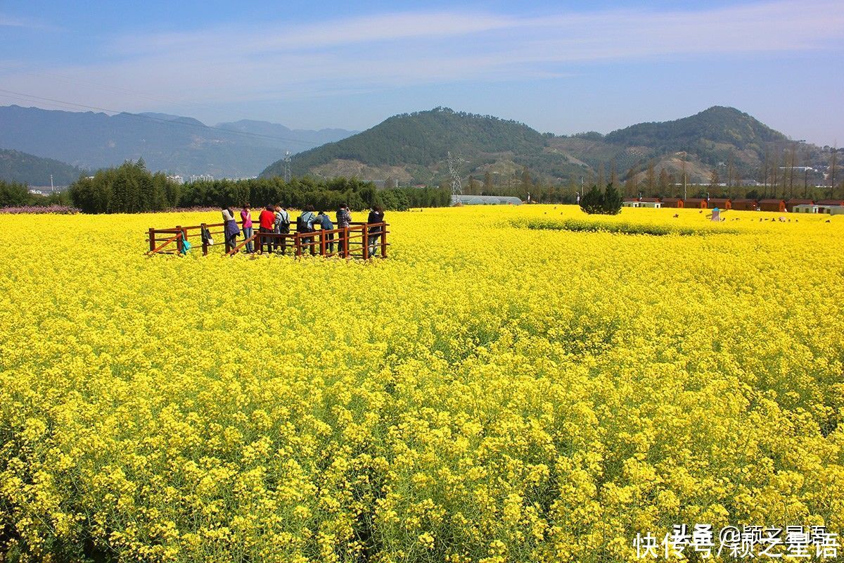 宁波第一免费赏梅地，梅开成海，春节打卡地