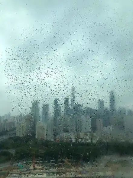 紧急提醒！近期尽量别穿这种颜色的衣服出门！