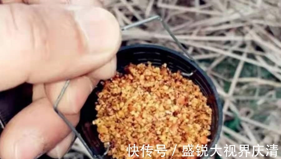 套路|气温高,大板鲫就难钓了?立马换用这套路,接连上鱼忙不过来