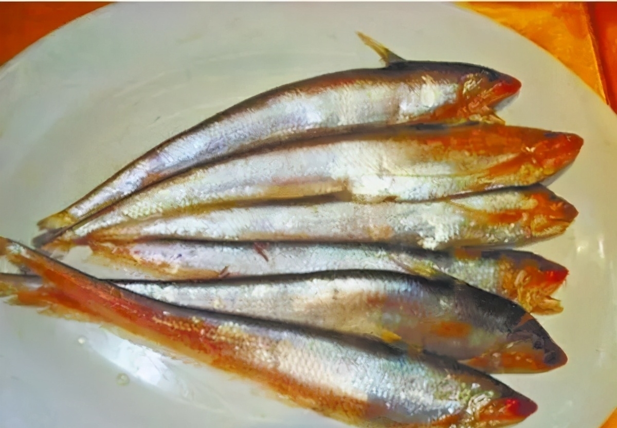 黄河鱼的秘密：跃龙门的不是鲤鱼，是谁？谁当了数百年的宫廷鱼？