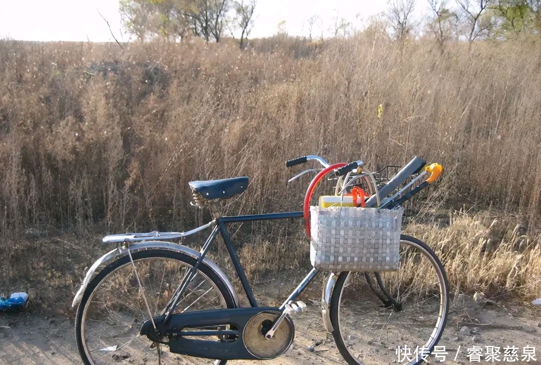 他野钓钓到六斤鲫鱼王,一看竟是“太监鲫鱼”这究竟是谁的功劳