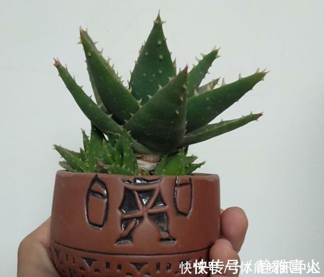 切割机|花盆买不起,自己动手做,好看又实用!花盆买不起,自己动手做,好看又实用!