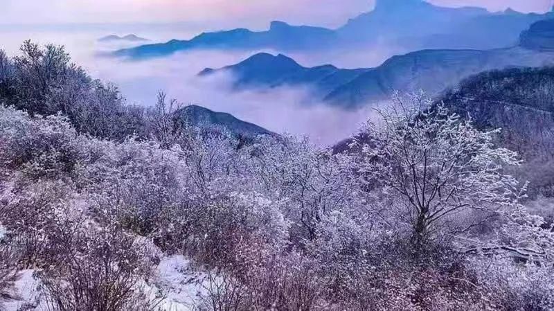 邂逅|来莫干山，邂逅一场冰雪奇缘吧！