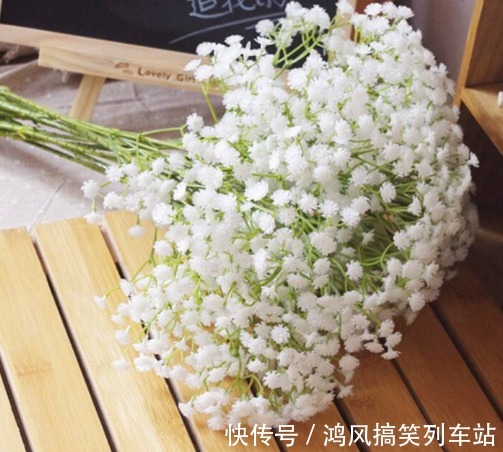 这5款花卉，被称为“开花机器”，家里养一盆，花开繁盛惹人爱
