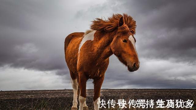 星座|虽然很念旧情，但不吃回头草，失望了就无法再挽回的星座