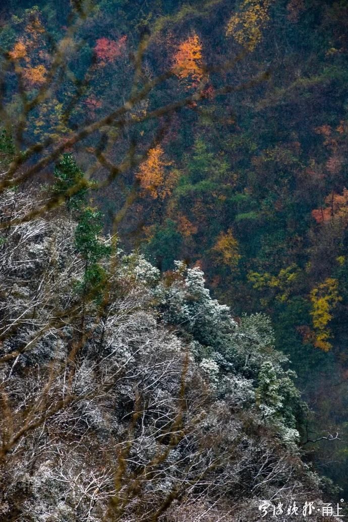 来访|初雪来访，宁波四明山这条公路迎来游客打卡！现场美成这样