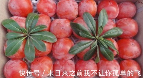 零食|女性最好的零食，不想老太快秋后多吃，补血活血，保持年轻好气色